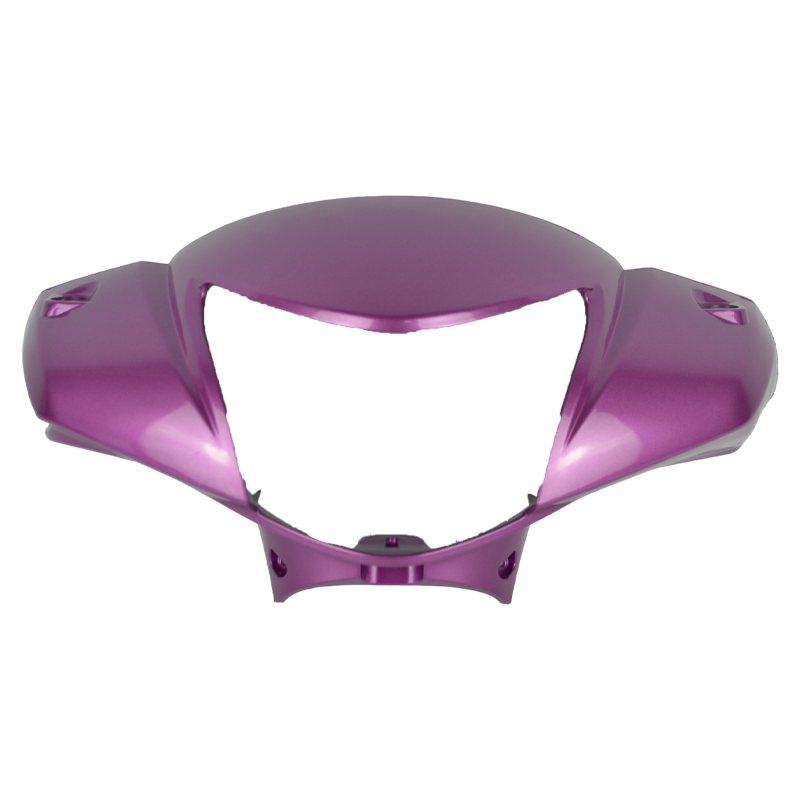 CAPA GUID CARE ROS BIZ 125 12