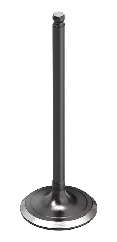 VALVULA ADM BIZ 100
