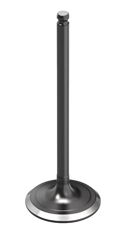 VALVULA ESC BIZ 100