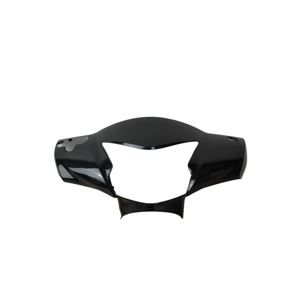 CAPA GUID CARE CZ  BIZ 125 2019