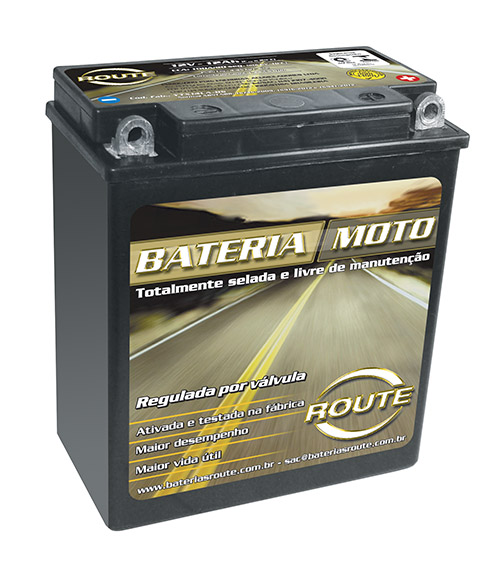 BATERIA GS 650 / TENERE 600 YTX14LA-BS
