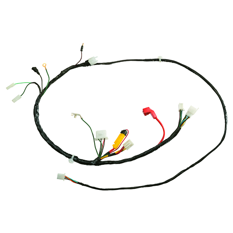 FIACAO PRINCIPAL BIZ KS 00/01
